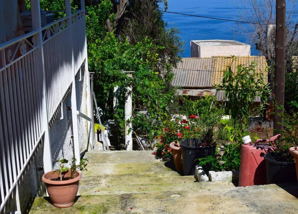 Kiki'S Beautiful House On Famous Village Pentátion المظهر الخارجي الصورة
