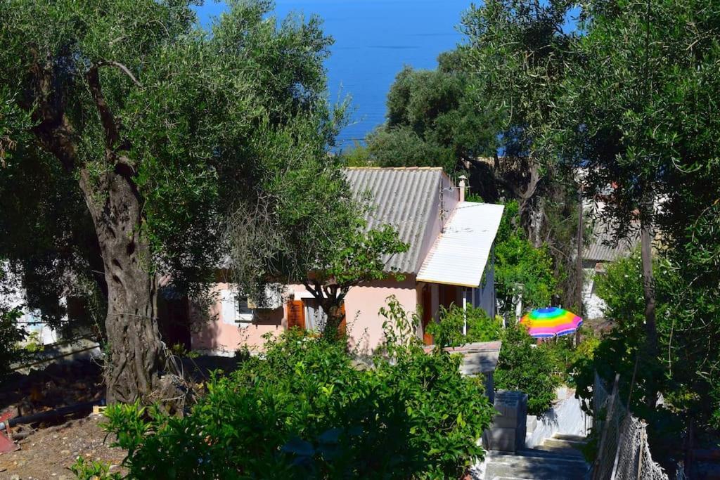 Kiki'S Beautiful House On Famous Village Pentátion المظهر الخارجي الصورة